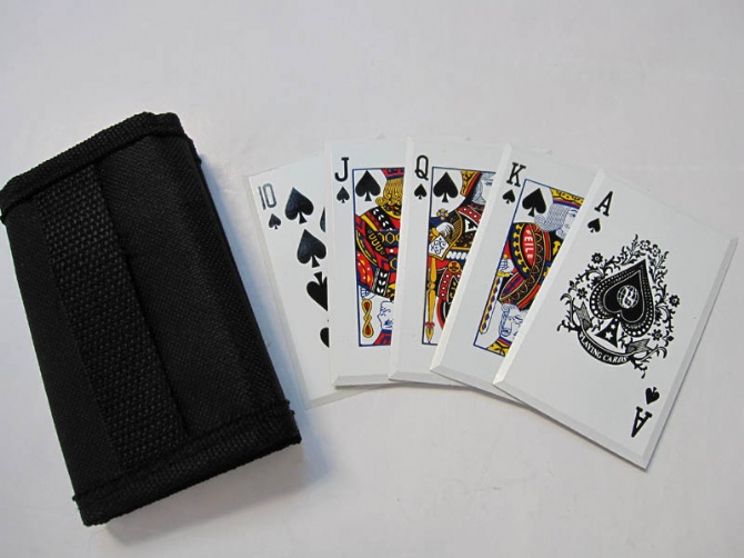 Playing Cards Dart Throwing Knife NK-A149
