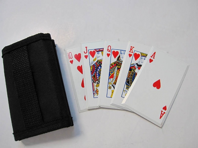 Playing Cards Dart Throwing Knife NK-A148