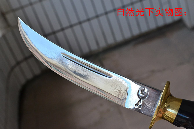 2013062758655005