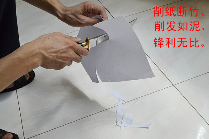 2013062758722629