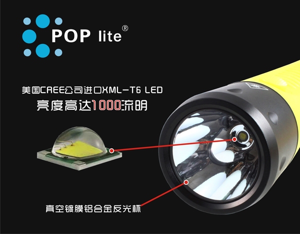 2012082036839829