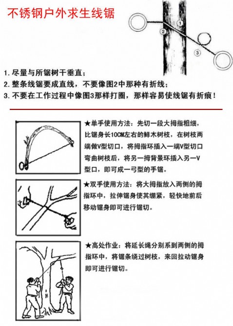 2013081538813245