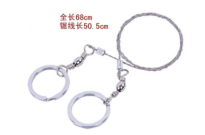 2013081538830089