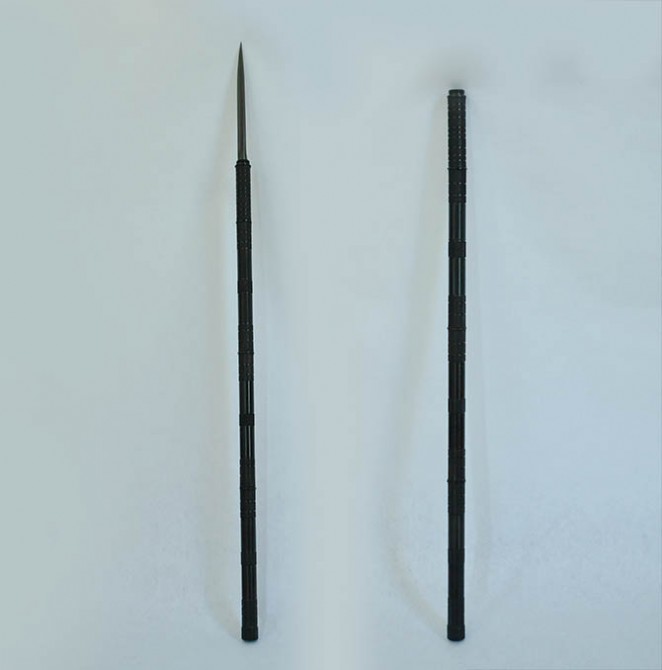 2013111669011721